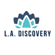 LA Discovery S