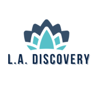 LA Discovery S